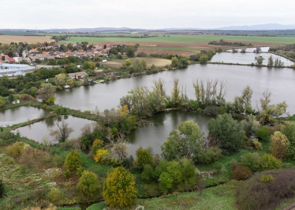 Veľký pozemok nedaleko Nitry o veľkosti 1219m2, Alekšince