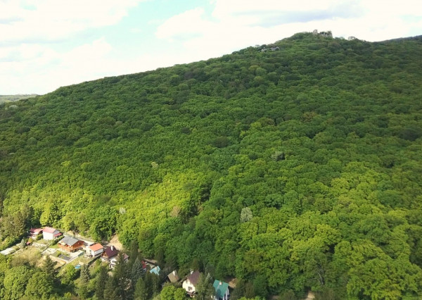 PREDANÉ - Predaj stavebného pozemku 3888 m2 v tichej a pokojnej časti Borinky.