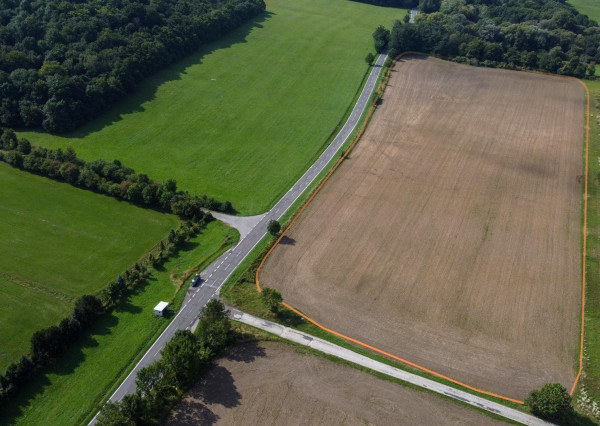 Predaj - rovinatý pozemok, pravidelný tvar 44 773 m2 na Záhori, obec Plavecký Mikuláš.