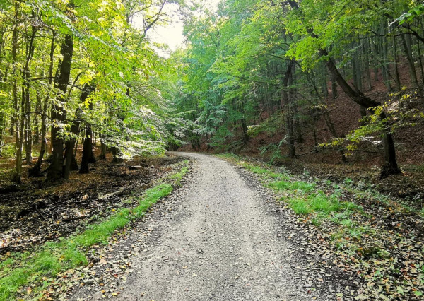 Prenajaté: rod.dom v tesnej BLÍZKOSTI LESA,NÁMESTIA a PÚTNICKÉHO AREÁLU