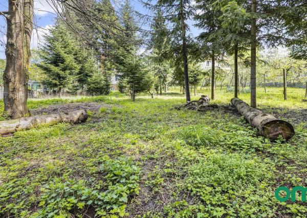 PREDANÉ -rodinný dom priamo pod lesom na pozemku 1638 m2 s potôčikom, tichá lokalita obklopená prírodou.