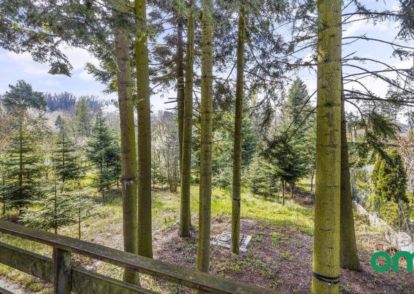 PREDANÉ -rodinný dom priamo pod lesom na pozemku 1638 m2 s potôčikom, tichá lokalita obklopená prírodou.