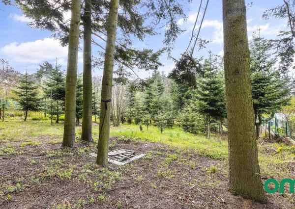 PREDANÉ -rodinný dom priamo pod lesom na pozemku 1638 m2 s potôčikom, tichá lokalita obklopená prírodou.