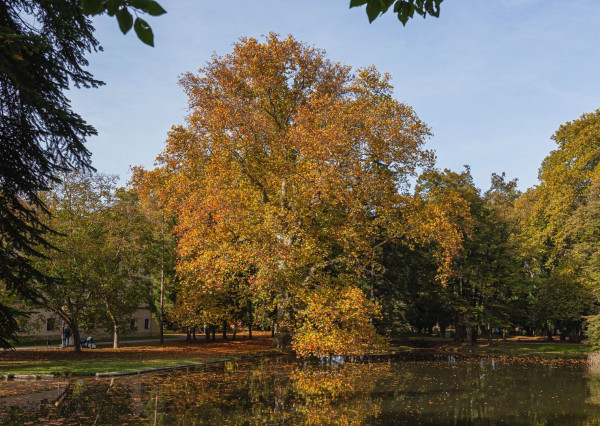 PREDANÉ - ul. Ružová - 3 izb. byt v TOP časti Stupavy.