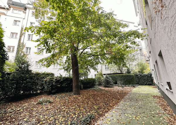 Prenajaté - 2,5 izb.byt 65 m2 s dvorom v centre STARÉHO MESTA