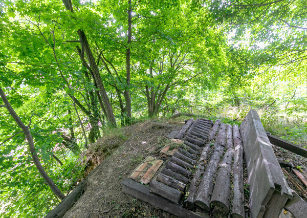 REZERVOVANÉ-rod.dom v tesnej blízkosti lesa-BORINKA.