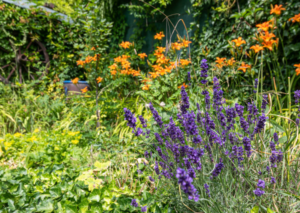 REZERVOVANÉ-rod.dom v tesnej blízkosti lesa-BORINKA.