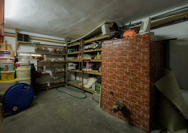 Pokojné bývanie vo Vajnoroch so záhradou