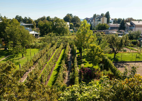 Veľkorysý rod.dom pre viacčlennú rodinu,dvojgeneračné bývanie