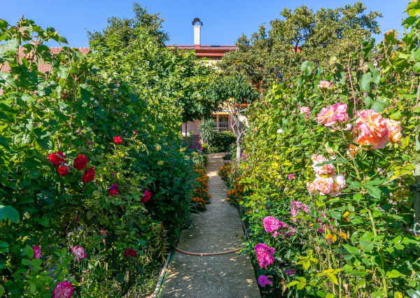 Veľkorysý rod.dom pre viacčlennú rodinu,dvojgeneračné bývanie