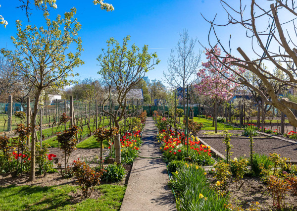 Veľkorysý rod.dom pre viacčlennú rodinu,dvojgeneračné bývanie