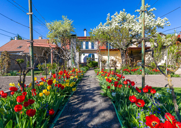 Veľkorysý rod.dom pre viacčlennú rodinu,dvojgeneračné bývanie