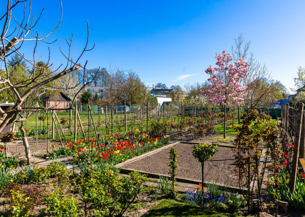 Veľkorysý rod.dom pre viacčlennú rodinu,dvojgeneračné bývanie