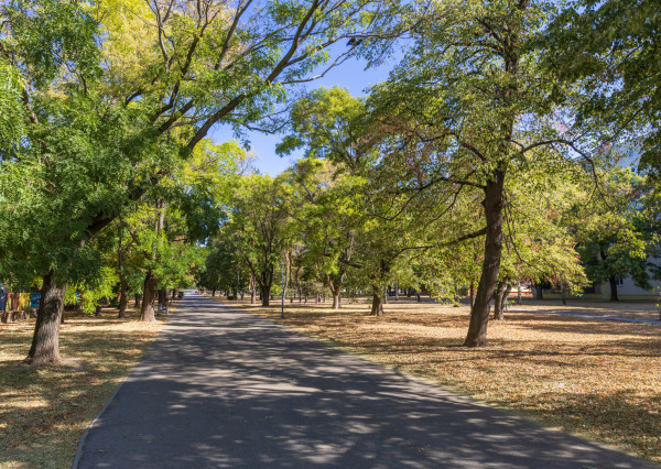 2i byt po kompletnej rekonštrukcii, výhľad na park, Radarová