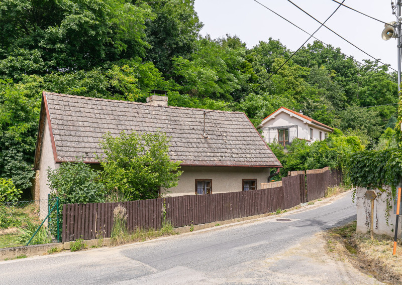 PREDANÉ - rod.dom v tesnej blízkosti lesa-BORINKA.
