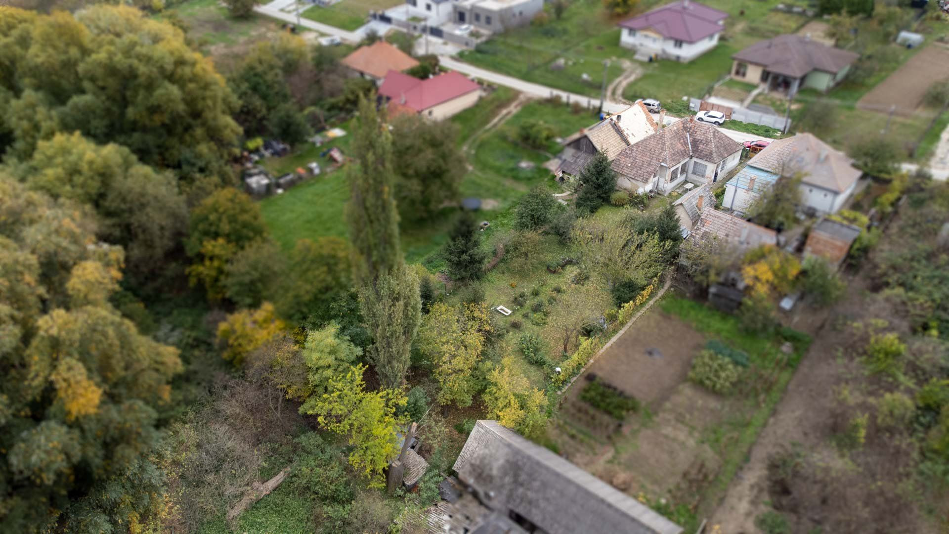 Veľký pozemok nedaleko Nitry o veľkosti 1219m2, Alekšince